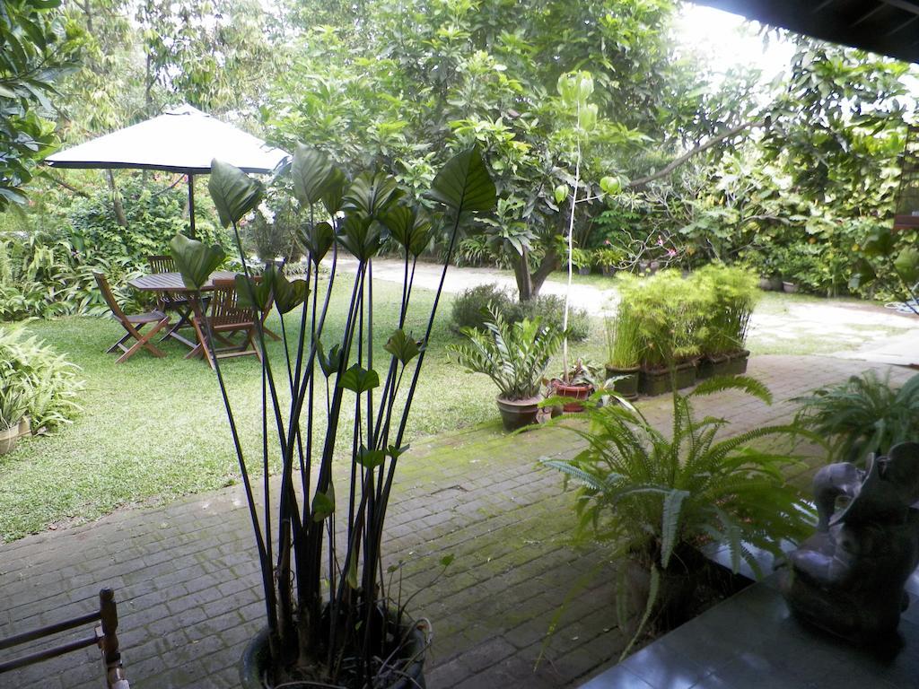 Rumah Sawah Ngabean Esterno foto